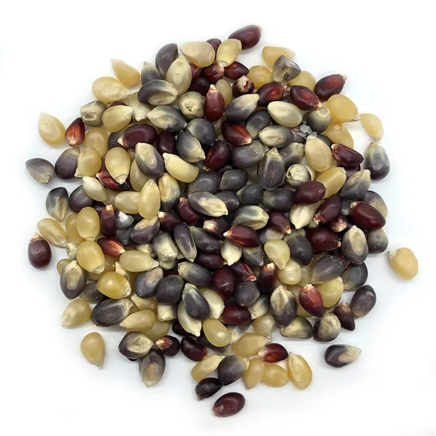 50 lbs Bulk Ancient Grain Organic Popcorn Kernels (Product of Canada)