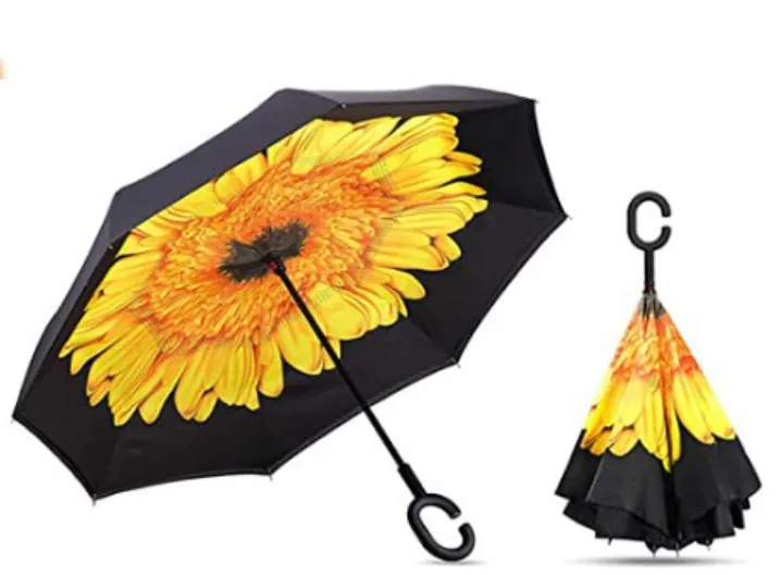 Assorted Umbrellas With Pattern