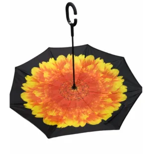 Assorted Umbrellas With Pattern