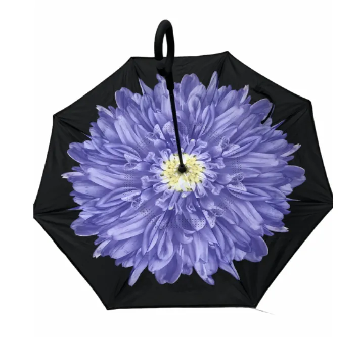 Assorted Umbrellas With Pattern