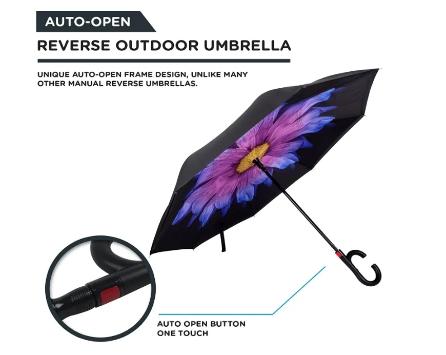 Assorted Umbrellas With Pattern