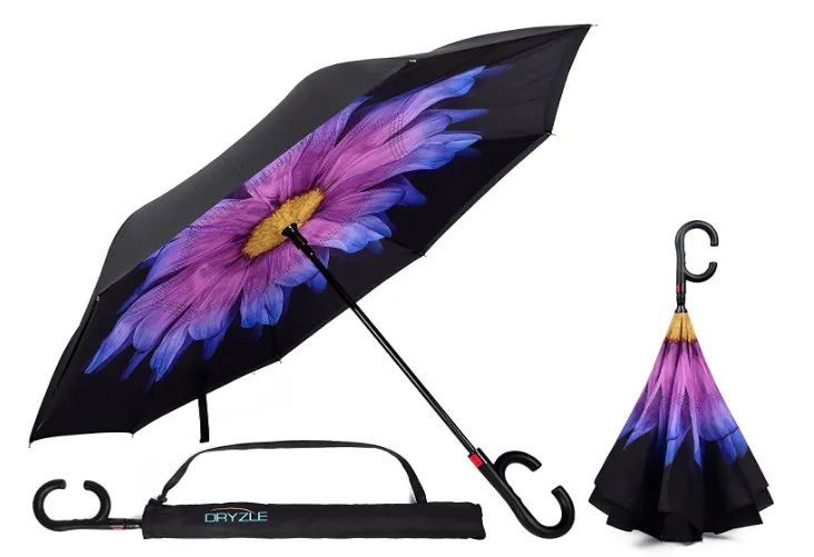 Assorted Umbrellas With Pattern