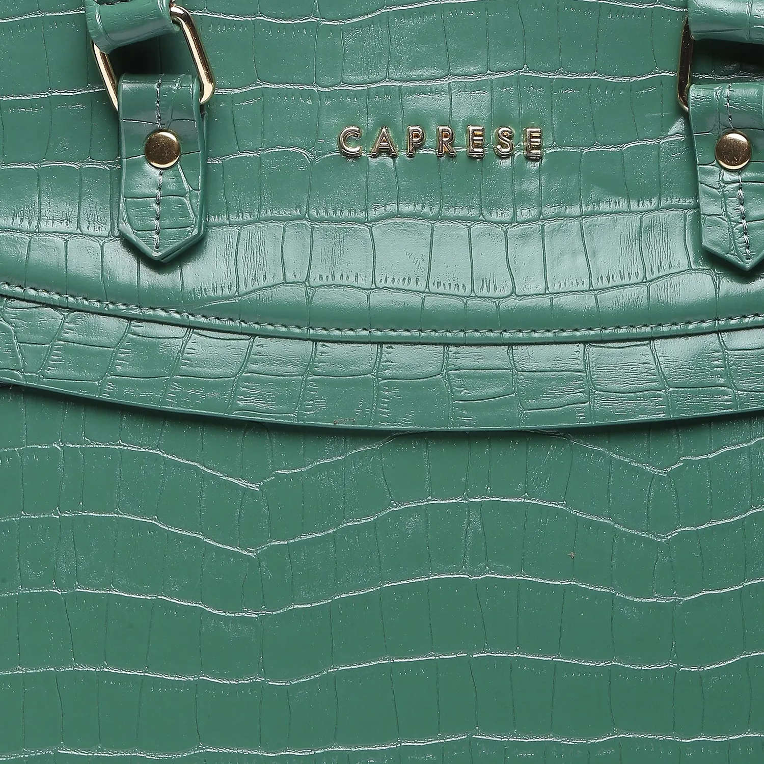 Caprese Rylee Large Satchel Bag