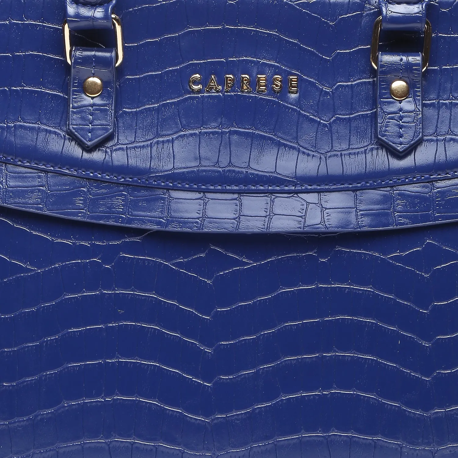 Caprese Rylee Large Satchel Bag