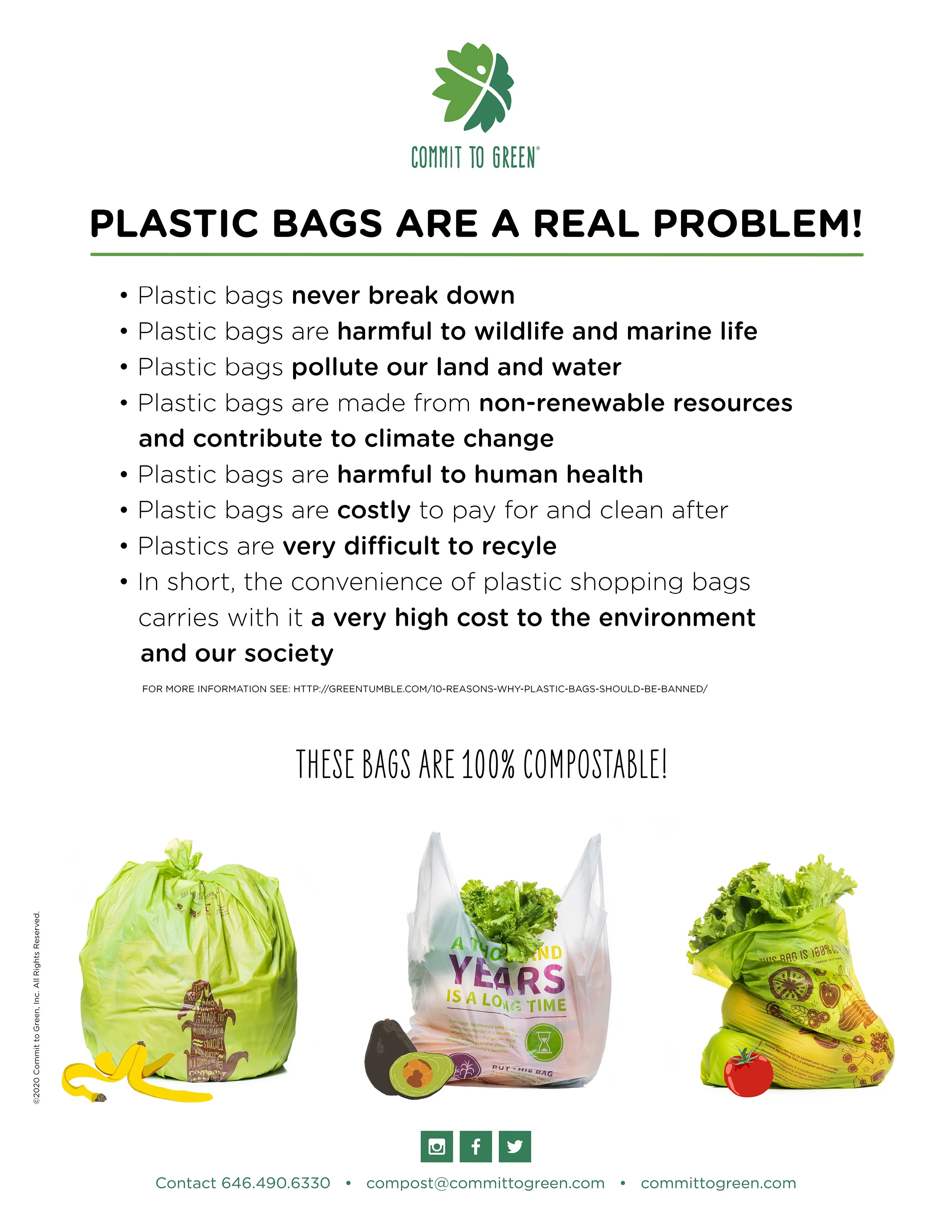 Compostable Shopping Bag