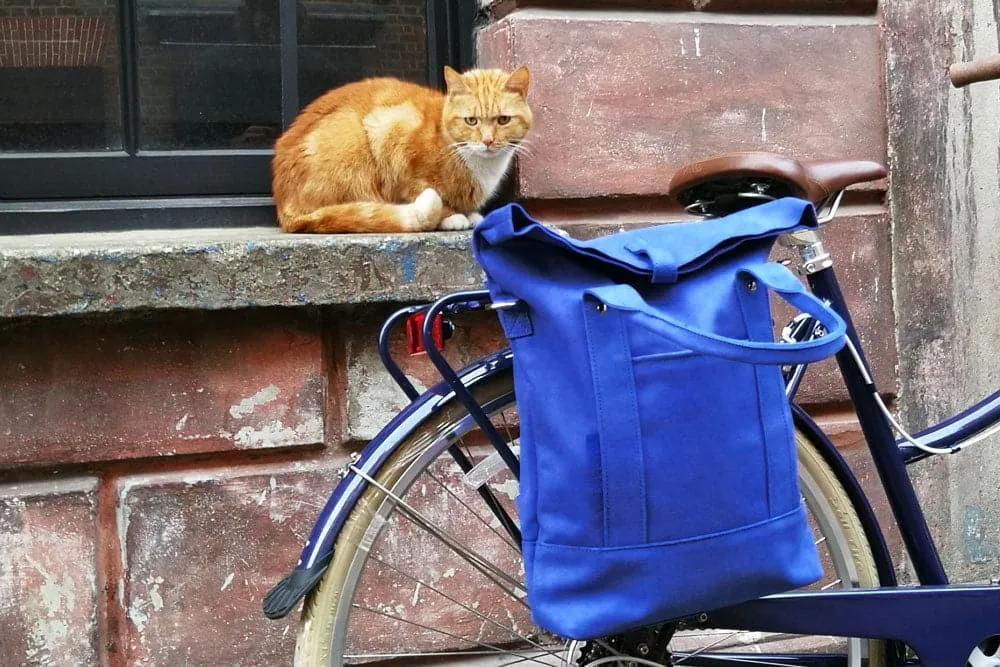 Daytripper Pannier