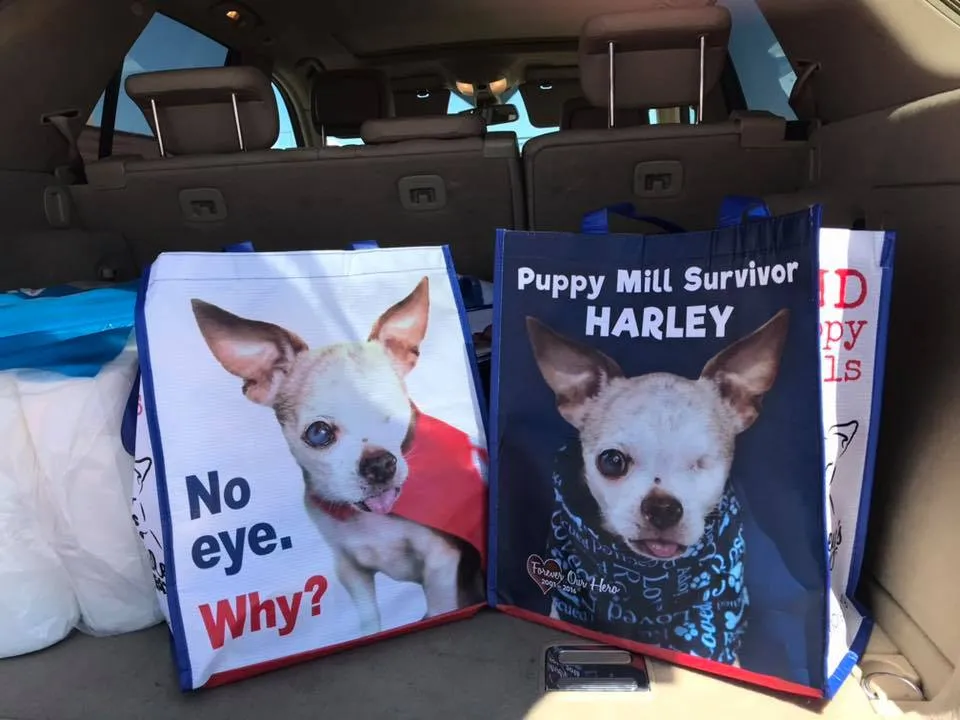 Harley's Dream Shopping Bags (quantities of 10, 20 or 100)