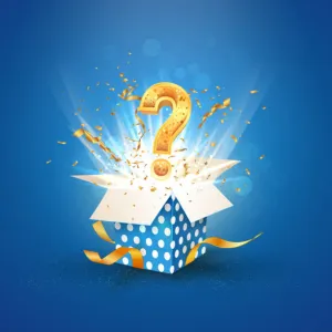 Horse Mystery Box