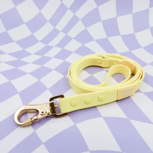Lemonade Yellow Waterproof Leash