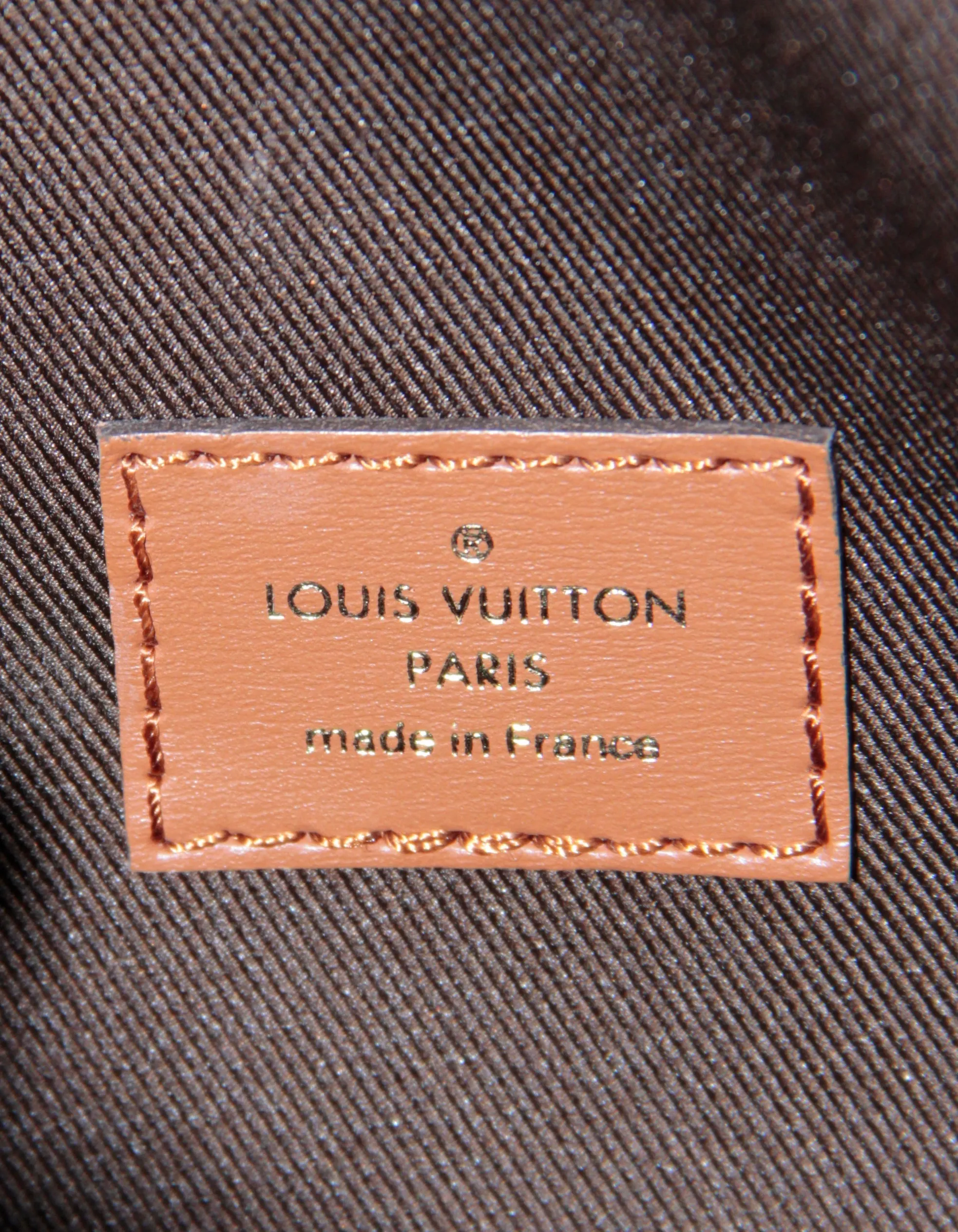 Louis Vuitton Reverse Monogram Loop Hobo Bag