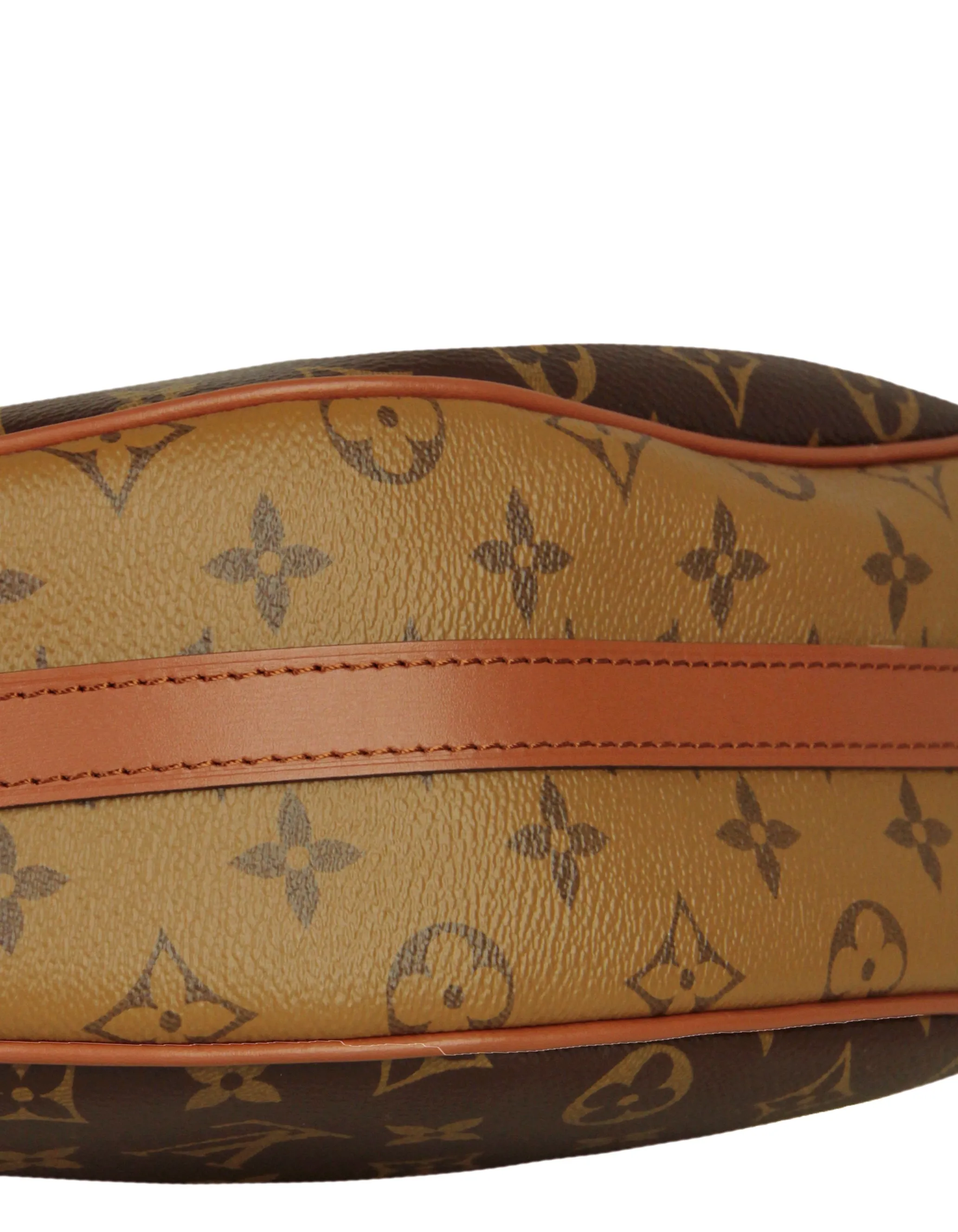 Louis Vuitton Reverse Monogram Loop Hobo Bag