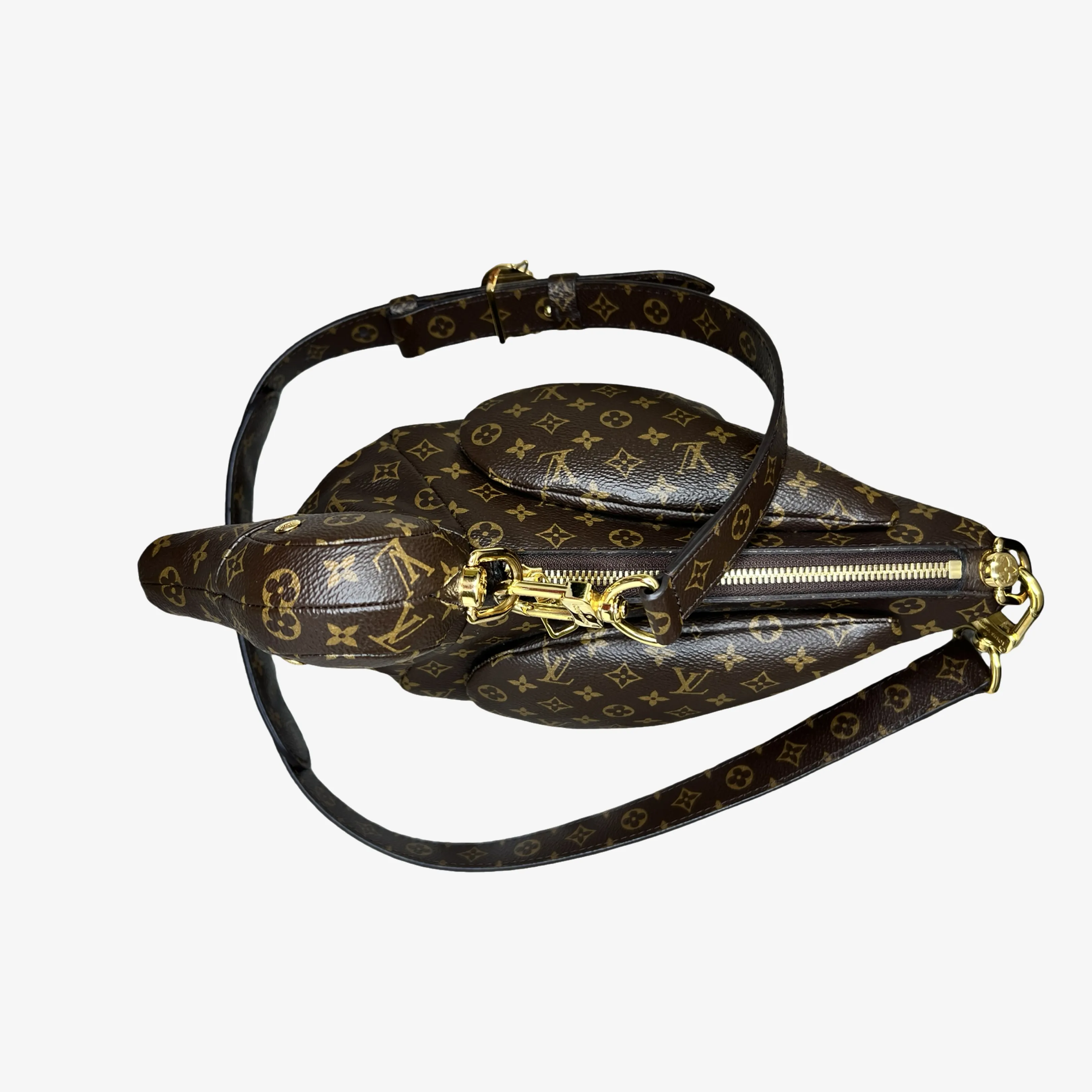 Louis Vuitton x Nigo Duck Bag