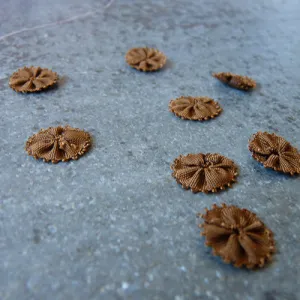 Mokuba : Small Flower Applique - Brown 67