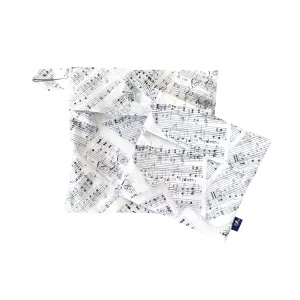 Music In Me Snack Bags