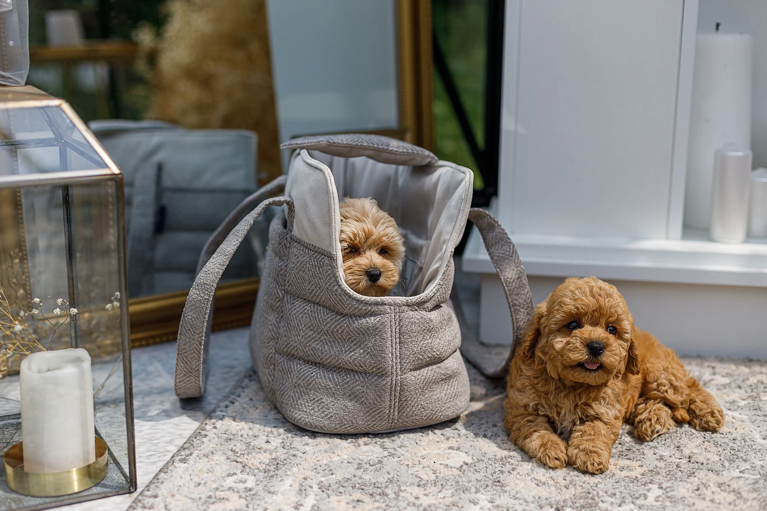 Oh Charlie Pet Carrier Florence