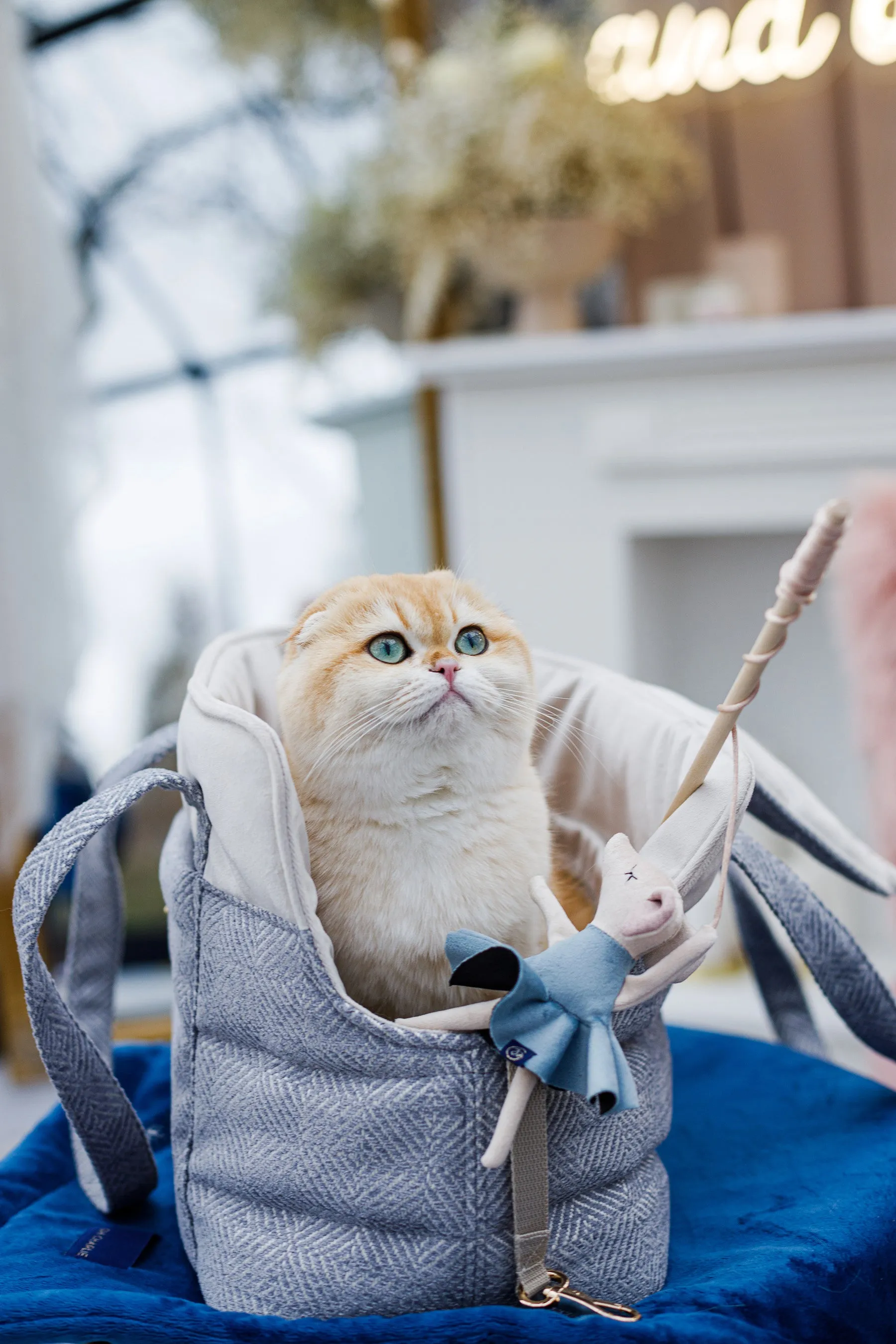 Oh Charlie Pet Carrier Florence