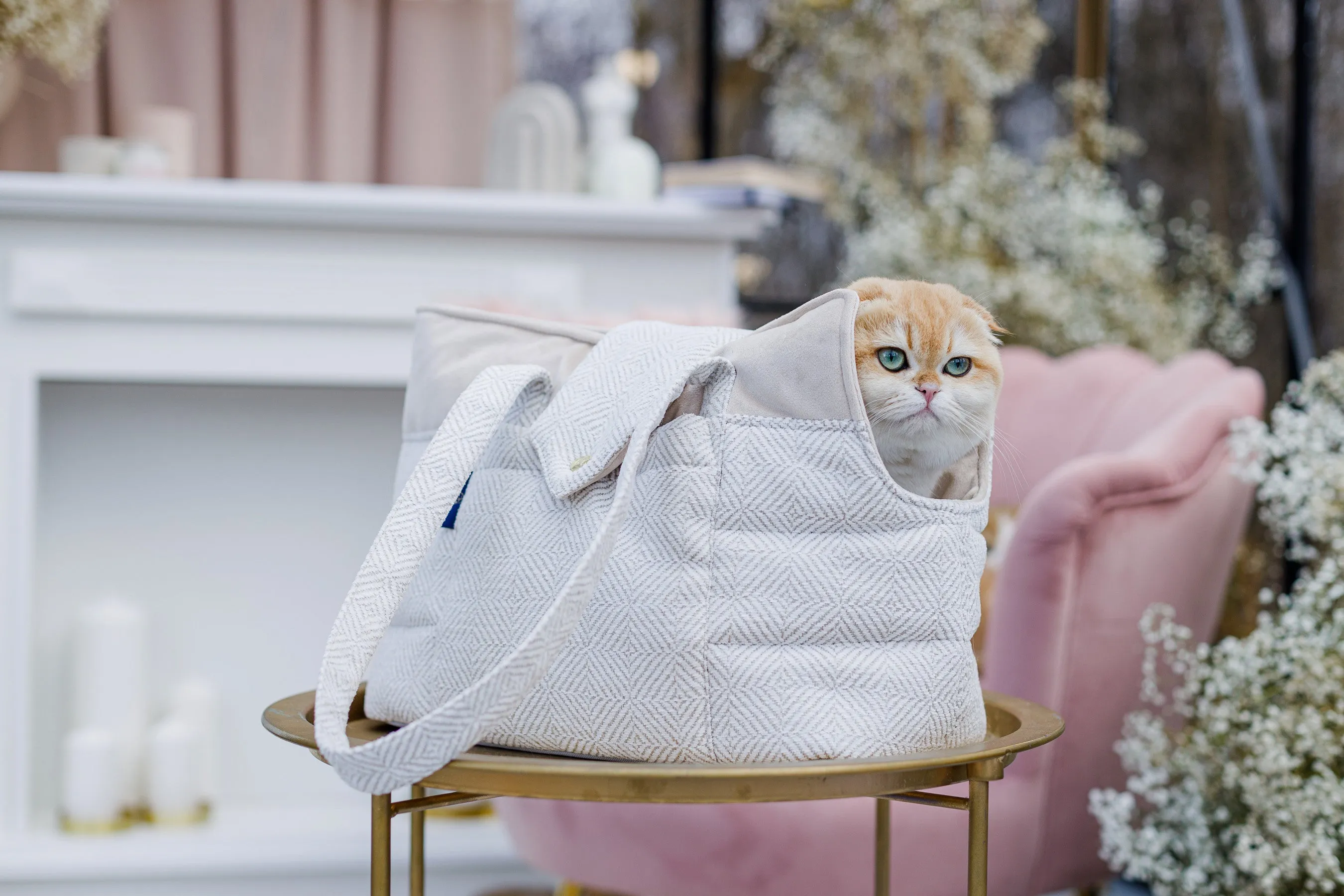 Oh Charlie Pet Carrier Florence