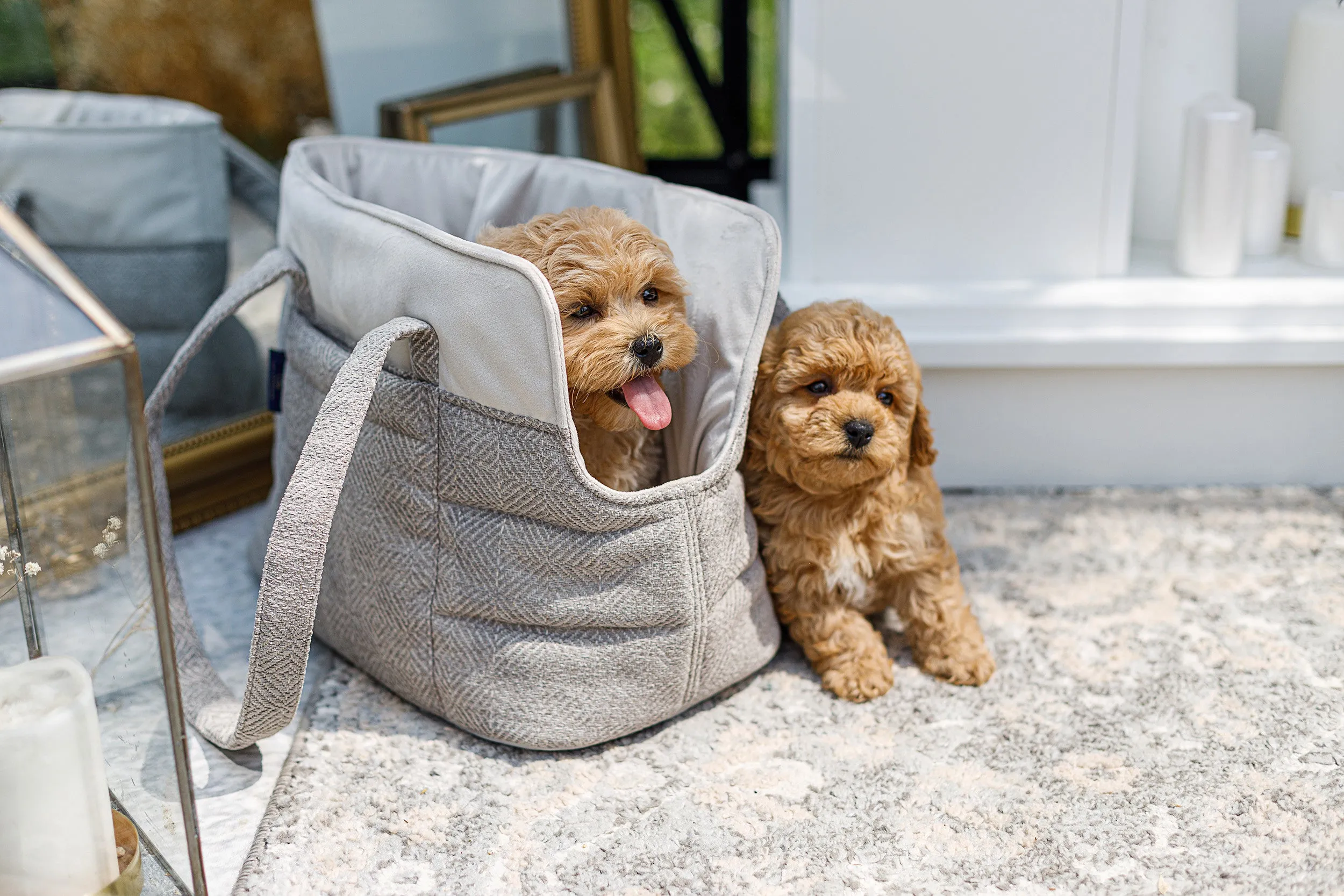 Oh Charlie Pet Carrier Florence