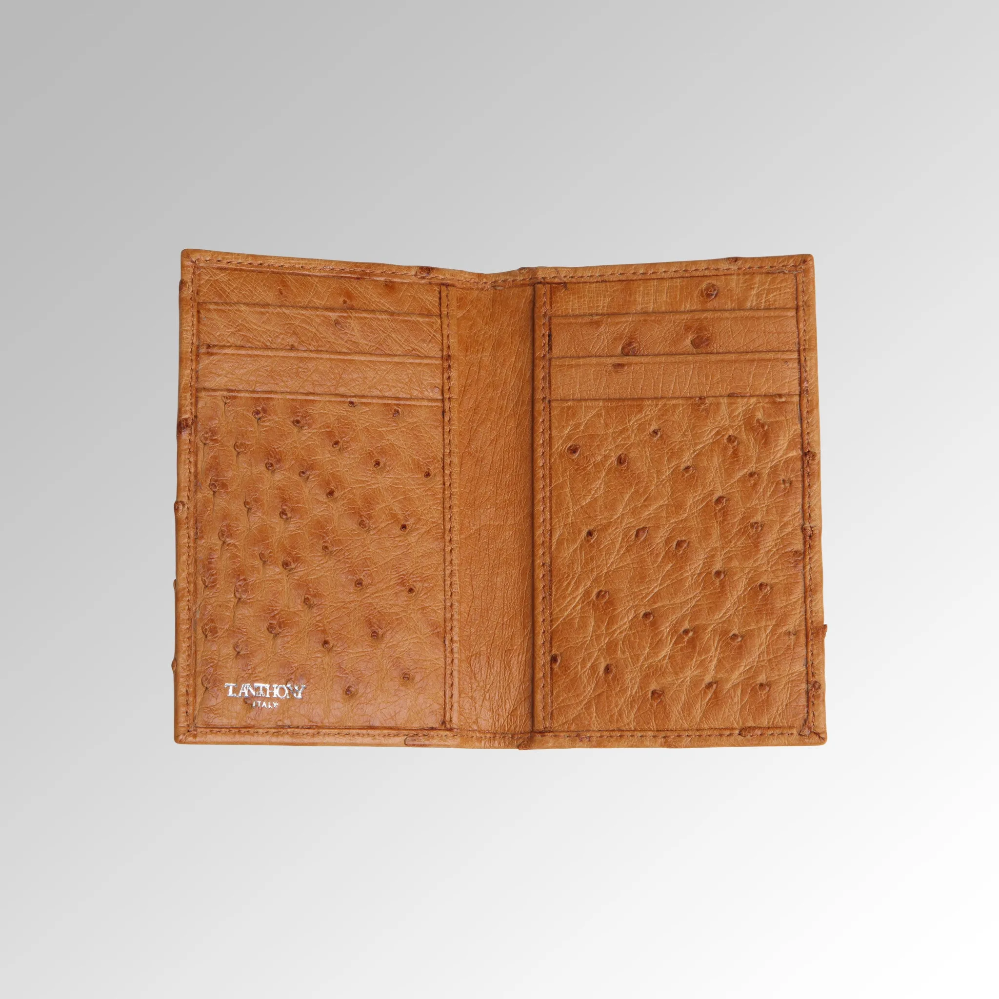 OSTRICH SLIM CREDIT CARD CASE