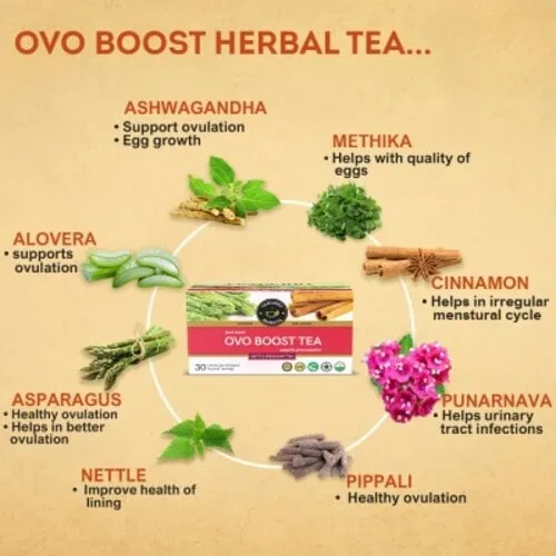 Ovo Boost Tea for Women - For Healthy Ovulation, Egg Quality, Egg Quantity Support