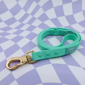 Peppermint Green Waterproof Leash