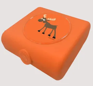 Sandwich Box Orange