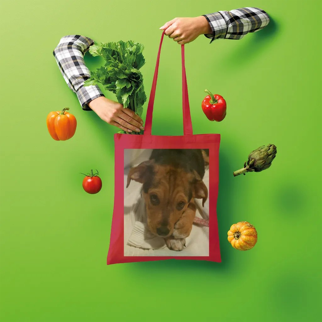 Shopper Tote Bag - Rescue Pets Collection - "Lucy" VI (Many Colors Available)