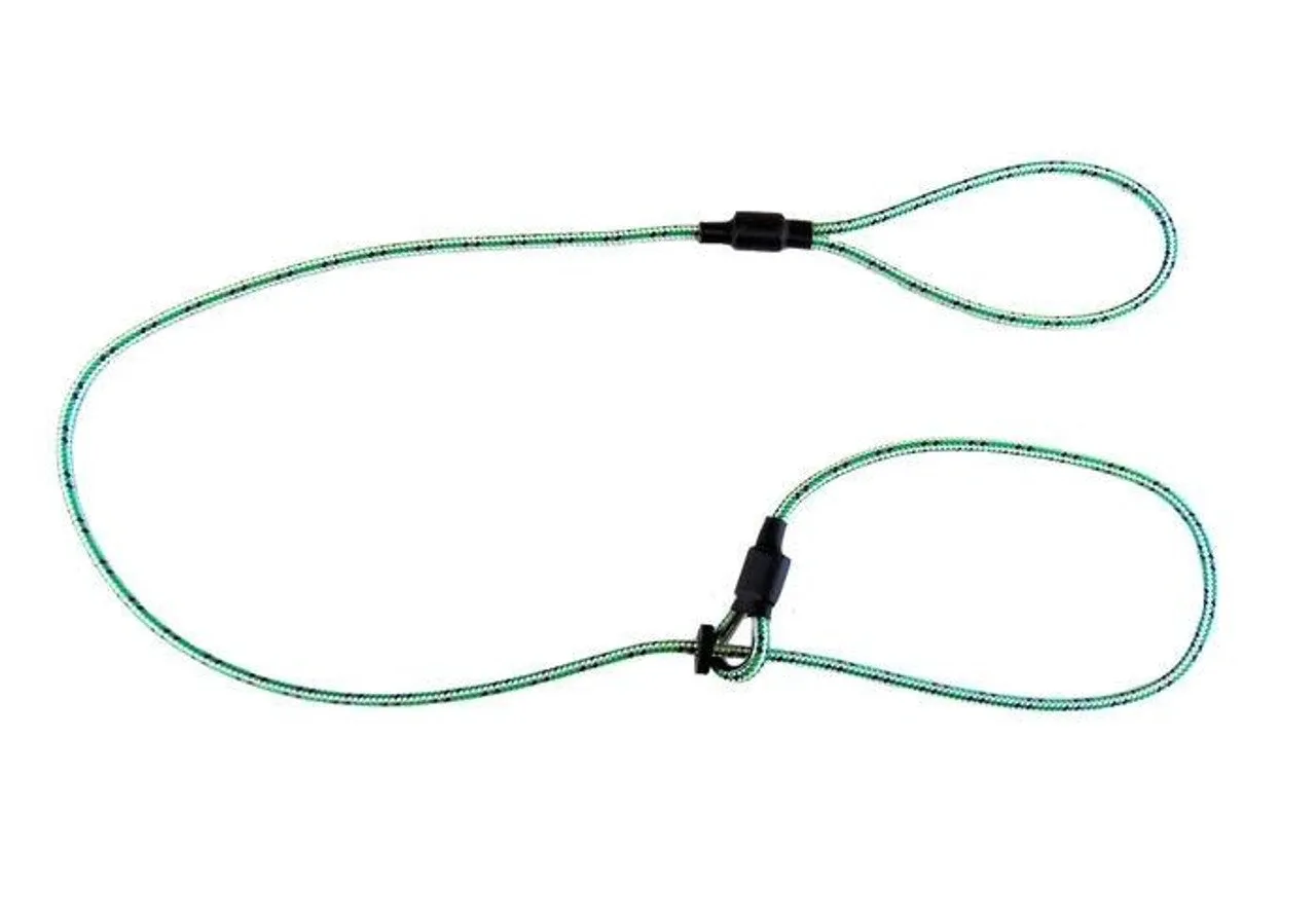 SPORTING SAINT Field Trial Pro Slip Lead