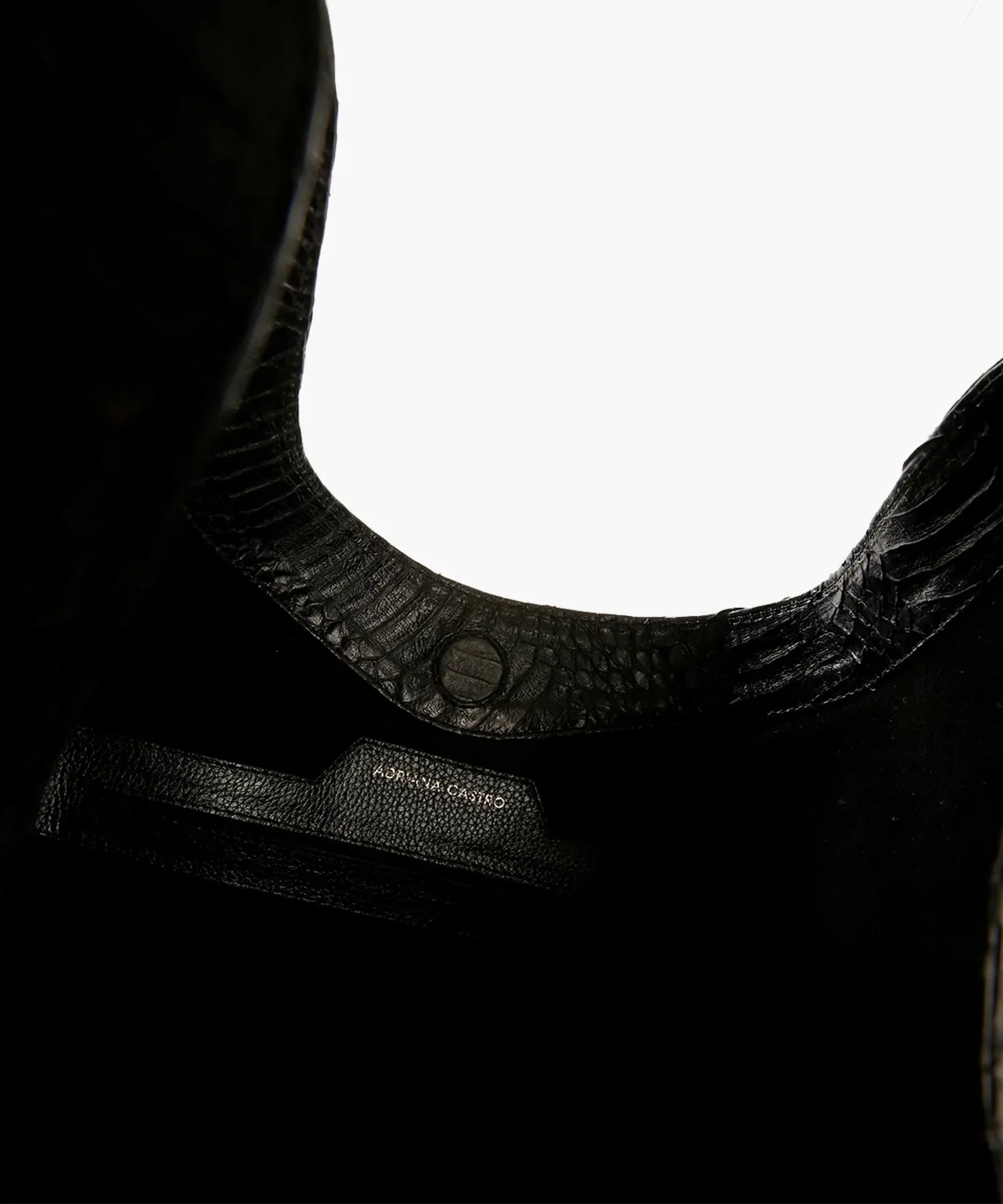 Tachia in Snake and Leather